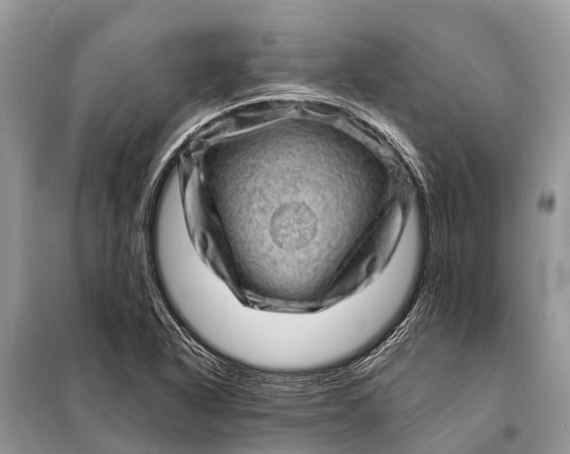 X0000098201318200805081102