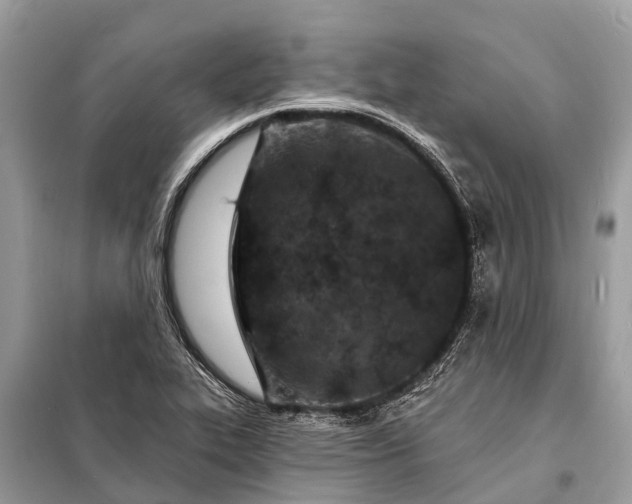 X0000098201319200805081102