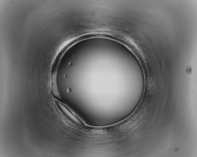 X0000098201320200805081102