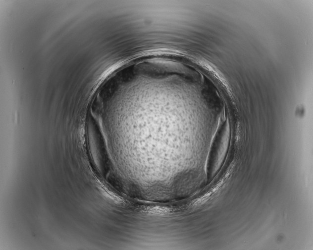 X0000098201321200805081102