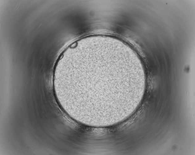 X0000098201322200805081102