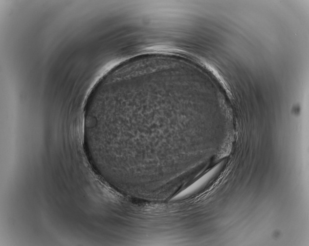 X0000098201323200805081102