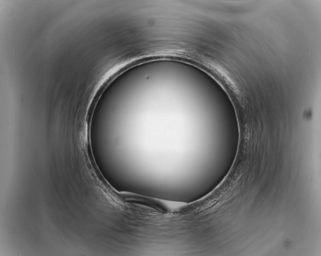 X0000098201324200805081102