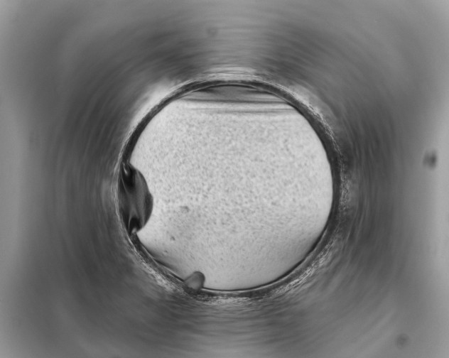 X0000098201325200805081102