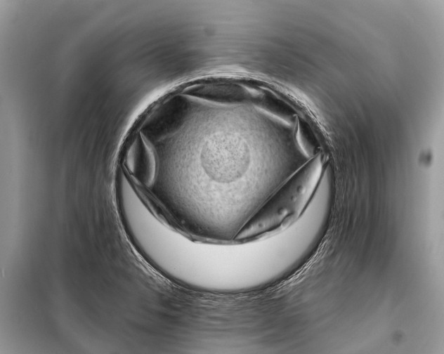 X0000098201326200805081102