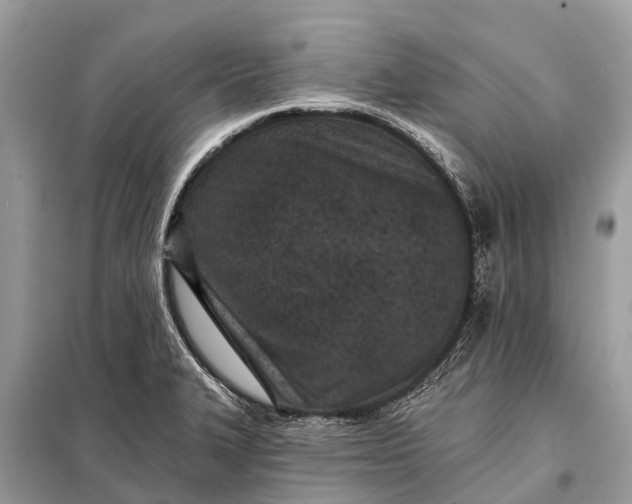 X0000098201327200805081102