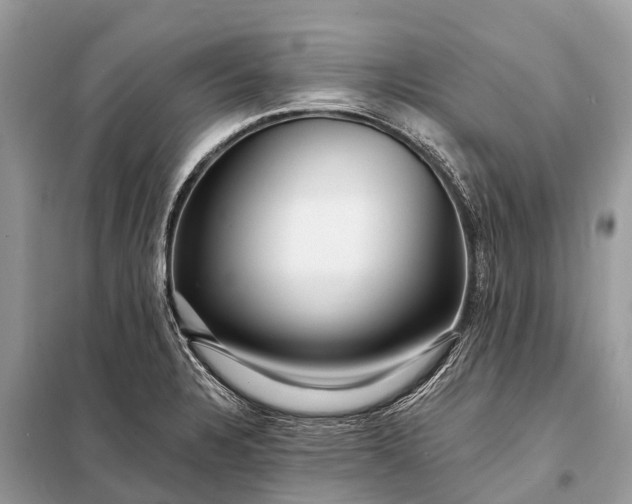 X0000098201328200805081102