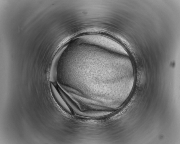 X0000098201329200805081102