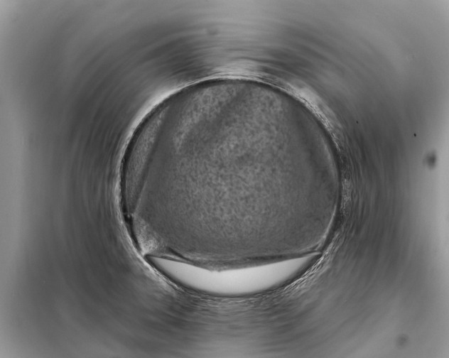 X0000098201331200805081102