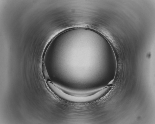 X0000098201332200805081102