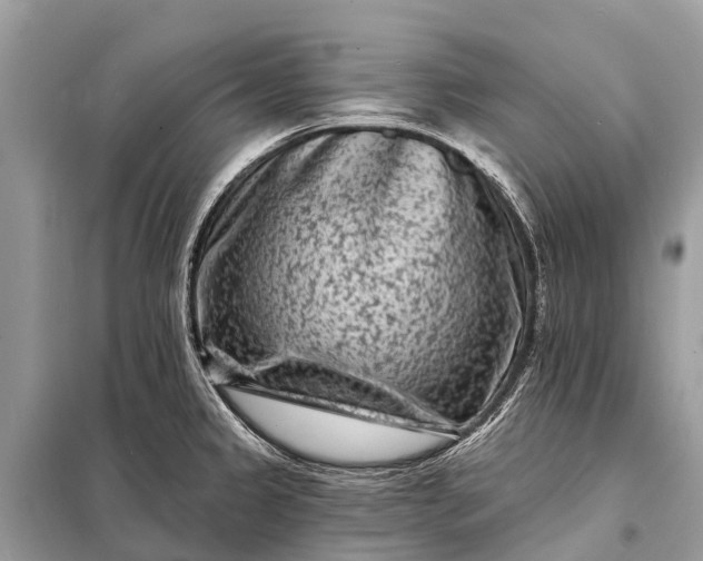 X0000098201333200805081102