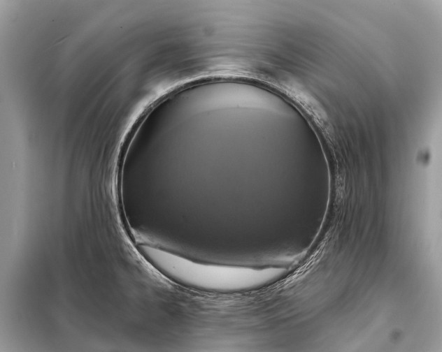 X0000098201334200805081102
