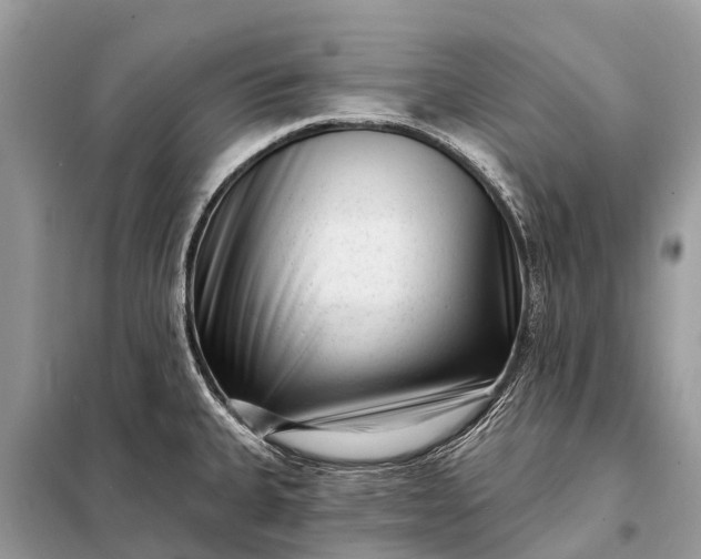 X0000098201335200805081102