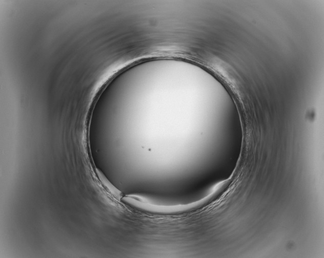 X0000098201336200805081102
