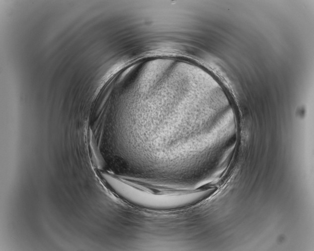X0000098201337200805081102