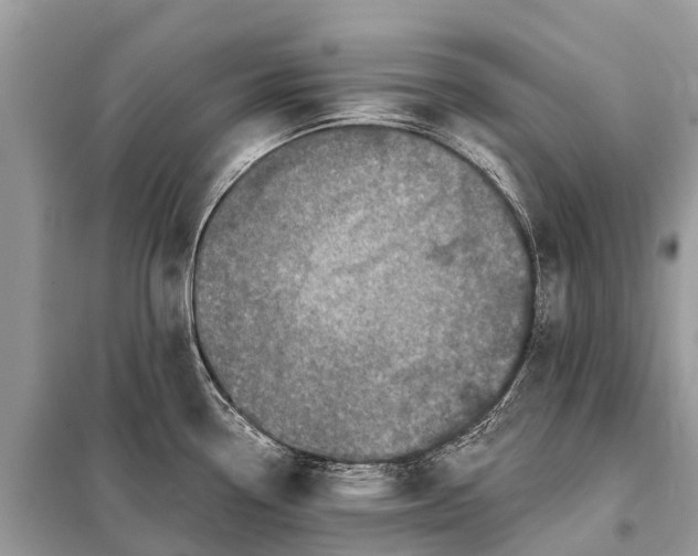 X0000098201338200805081102