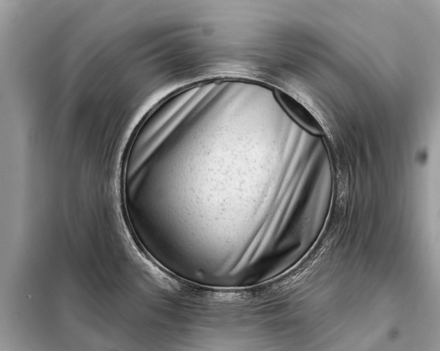 X0000098201339200805081102