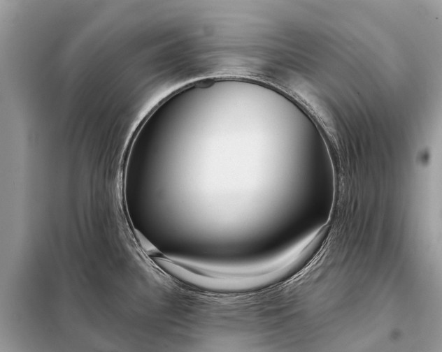 X0000098201340200805081102