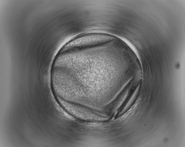 X0000098201341200805081102