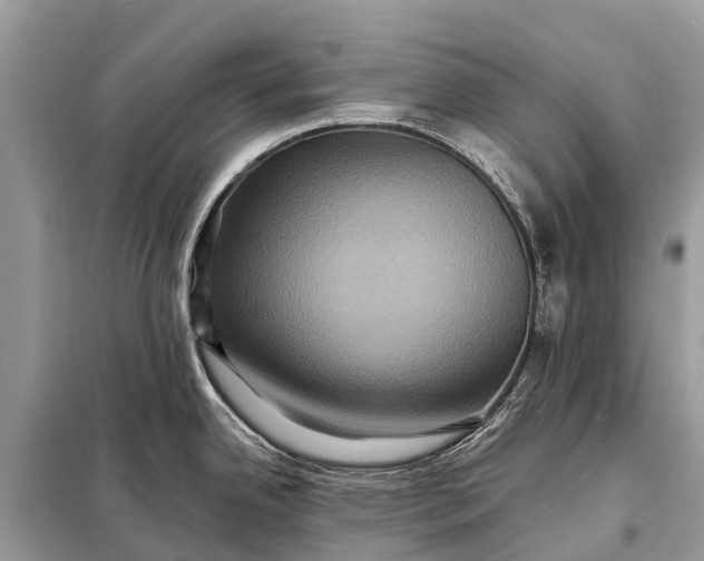 X0000098201342200805081102