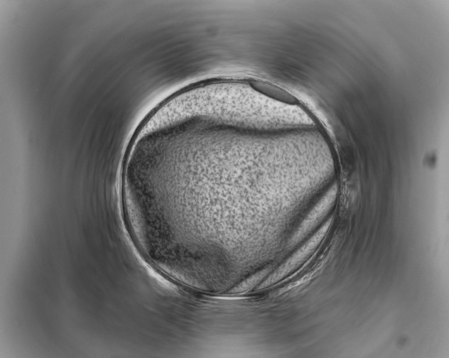 X0000098201343200805081102