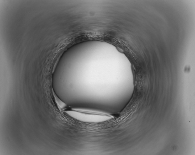 X0000098201345200805081102