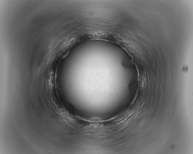 X0000098201346200805081102