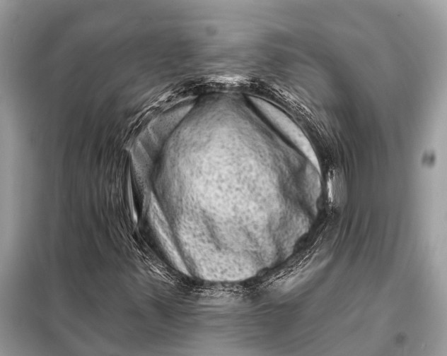 X0000098201347200805081101