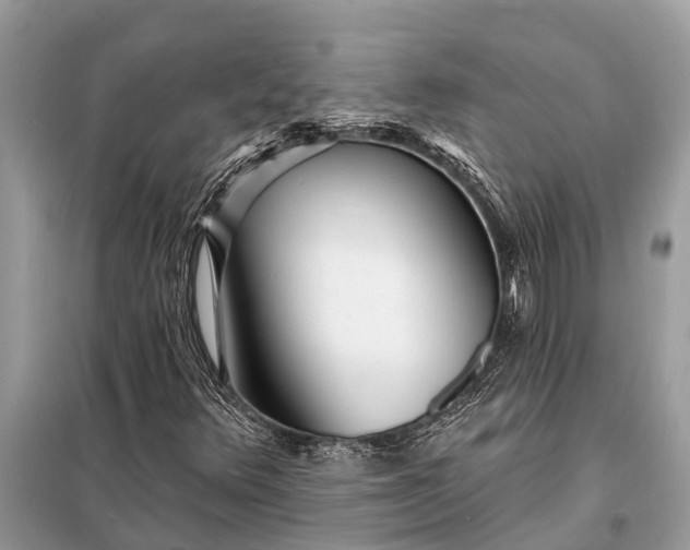 X0000098201348200805081101
