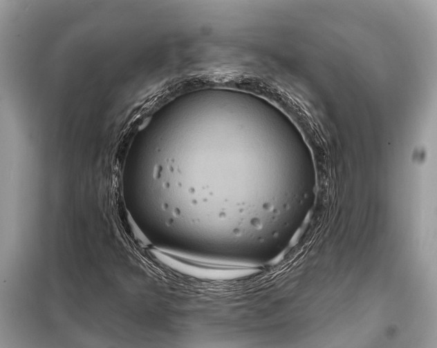 X0000098201349200805081101