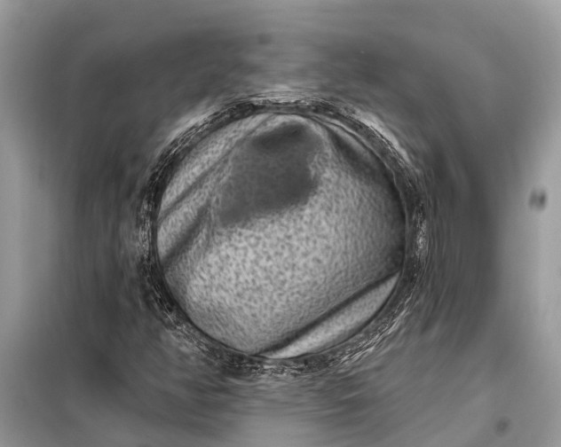 X0000098201350200805081101