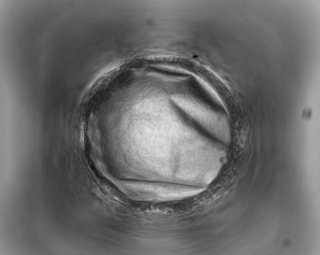 X0000098201351200805081101