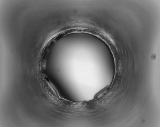 X0000098201352200805081101