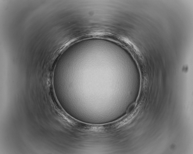 X0000098201353200805081101