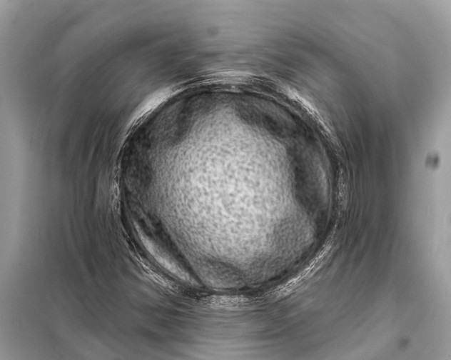 X0000098201354200805081101