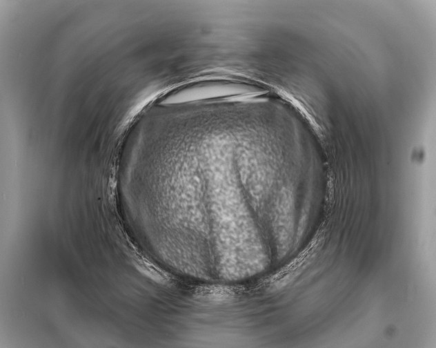 X0000098201355200805081101