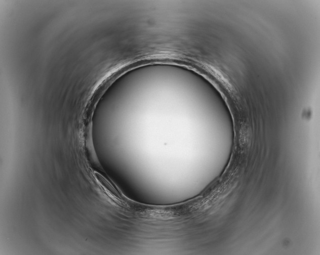 X0000098201356200805081101