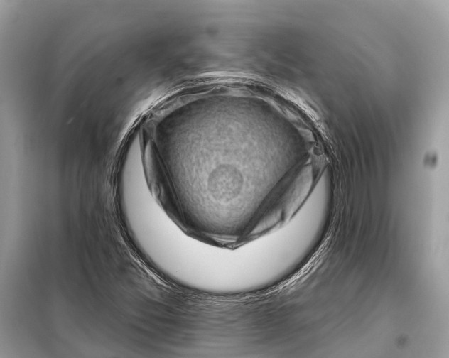 X0000098201357200805081101