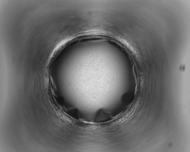 X0000098201358200805081101