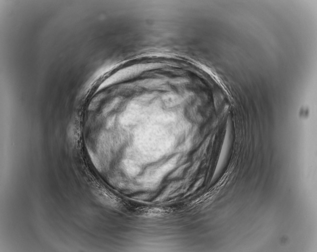 X0000098201359200805081101