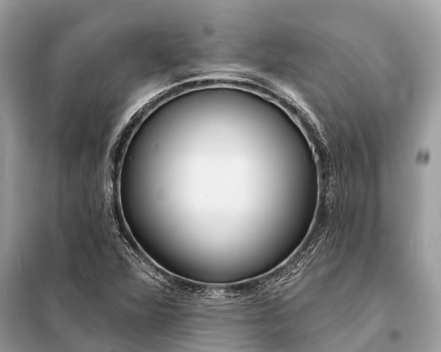 X0000098201360200805081101