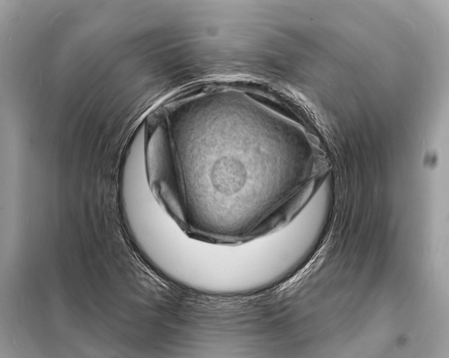 X0000098201361200805081101