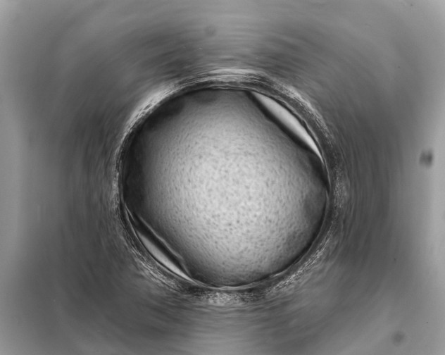 X0000098201362200805081101