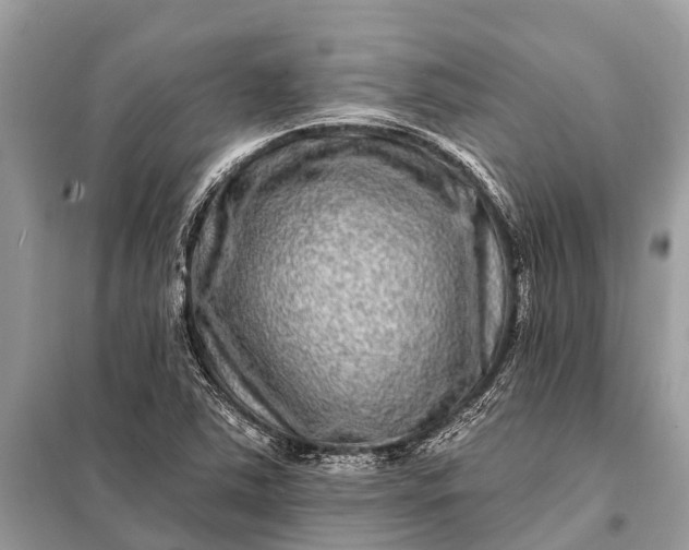 X0000098201363200805081101