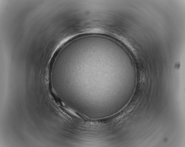X0000098201364200805081101