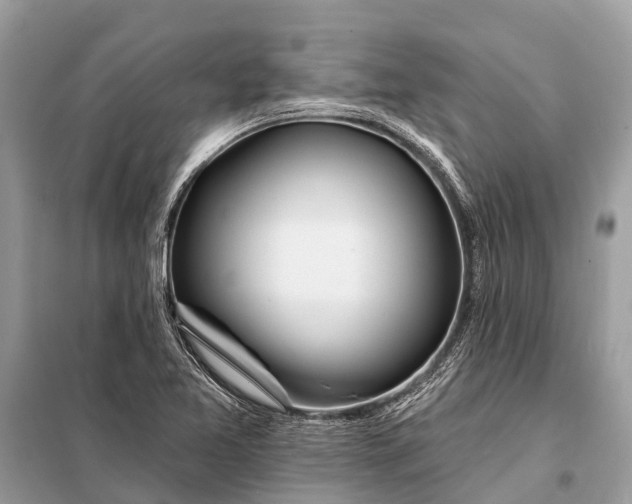 X0000098201365200805081101
