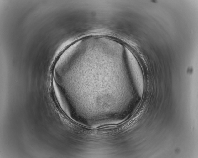 X0000098201366200805081101