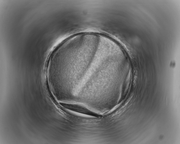 X0000098201367200805081101