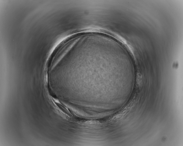 X0000098201368200805081101