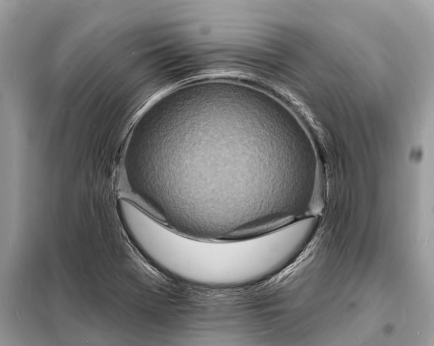 X0000098201369200805081101